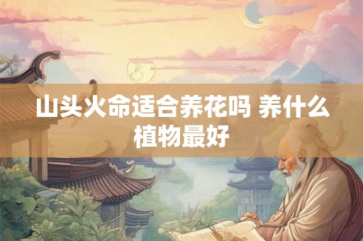 山头火命适合养花吗 养什么植物最好