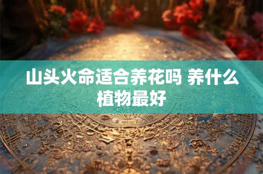 山头火命适合养花吗 养什么植物最好