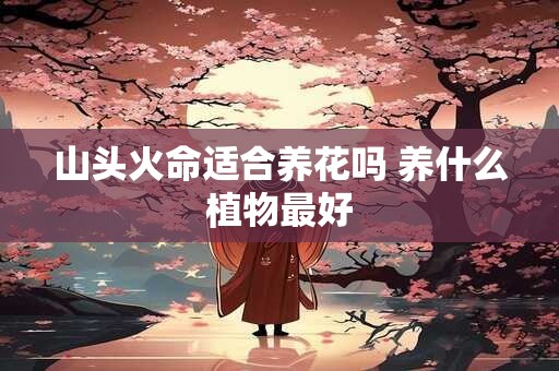 山头火命适合养花吗 养什么植物最好