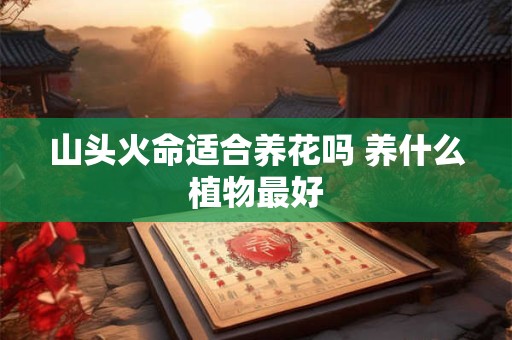 山头火命适合养花吗 养什么植物最好