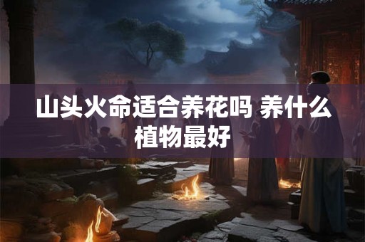 山头火命适合养花吗 养什么植物最好
