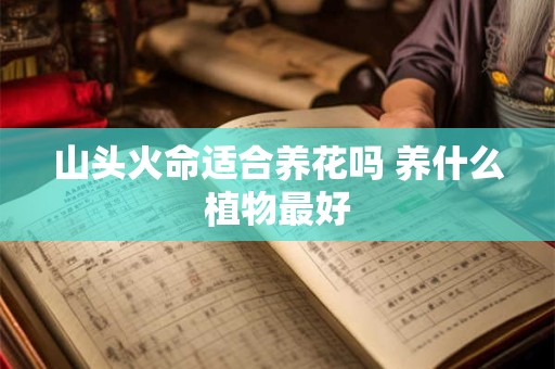 山头火命适合养花吗 养什么植物最好