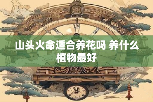 山头火命适合养花吗 养什么植物最好