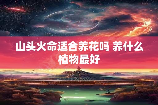 山头火命适合养花吗 养什么植物最好