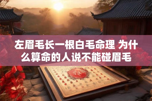 左眉毛长一根白毛命理 为什么算命的人说不能碰眉毛