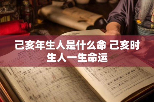己亥年生人是什么命 己亥时生人一生命运