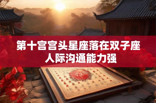 第十宫宫头星座落在双子座  人际沟通能力强