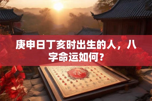 庚申日丁亥时出生的人，八字命运如何？