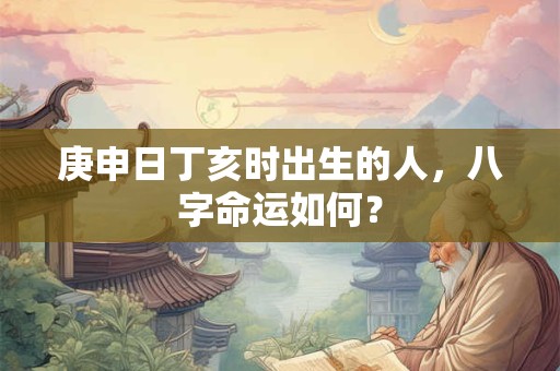 庚申日丁亥时出生的人，八字命运如何？