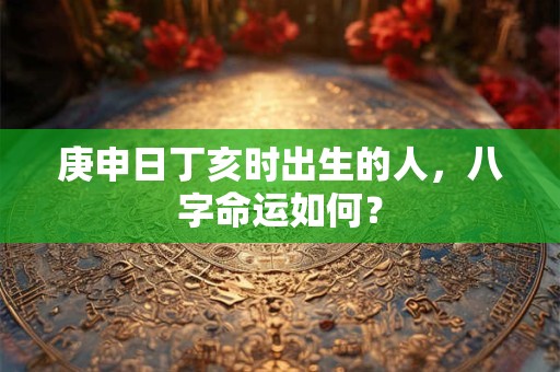庚申日丁亥时出生的人，八字命运如何？