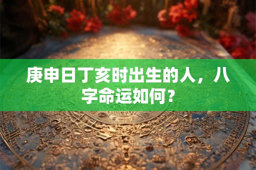 庚申日丁亥时出生的人，八字命运如何？
