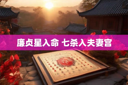 廉贞星入命 七杀入夫妻宫