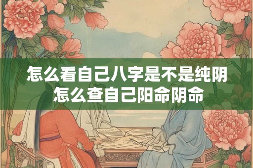 怎么看自己八字是不是纯阴 怎么查自己阳命阴命