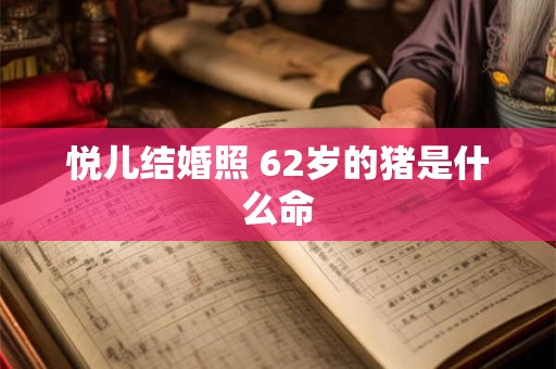 悦儿结婚照 62岁的猪是什么命