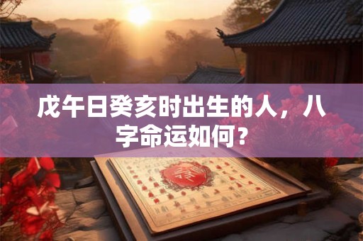 戊午日癸亥时出生的人，八字命运如何？