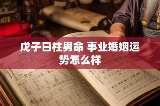 戊子日柱男命 事业婚姻运势怎么样