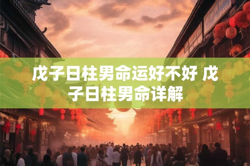 详细阅读:戊子日柱男命运好不好 戊子日柱男命详解 戊子日柱男命运好不好 戊子日柱男命详解