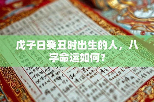 戊子日癸丑时出生的人，八字命运如何？