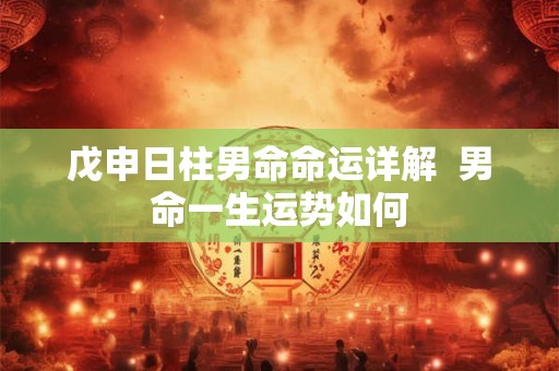 戊申日柱男命命运详解  男命一生运势如何