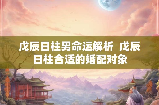 戊辰日柱男命运解析  戊辰日柱合适的婚配对象