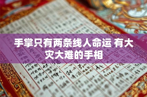 手掌只有两条线人命运 有大灾大难的手相