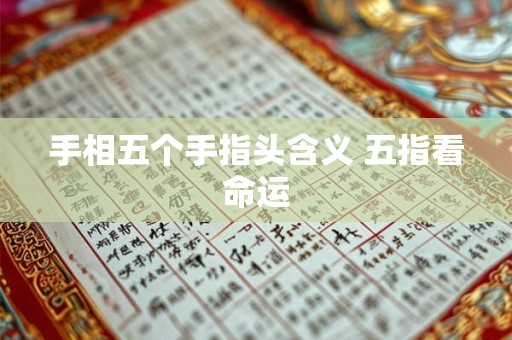 手相五个手指头含义 五指看命运