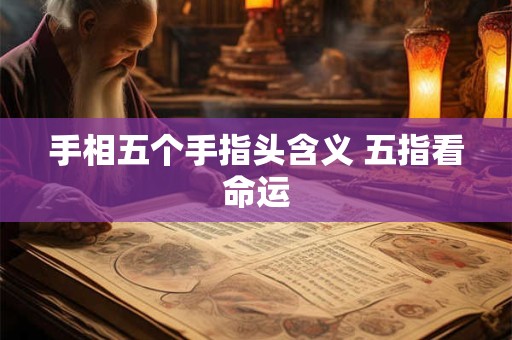 手相五个手指头含义 五指看命运