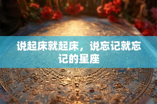 说起床就起床，说忘记就忘记的星座