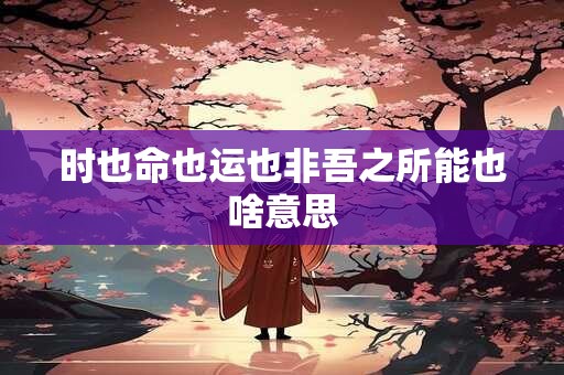 时也命也运也非吾之所能也啥意思