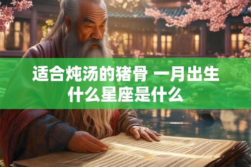 适合炖汤的猪骨 一月出生什么星座是什么