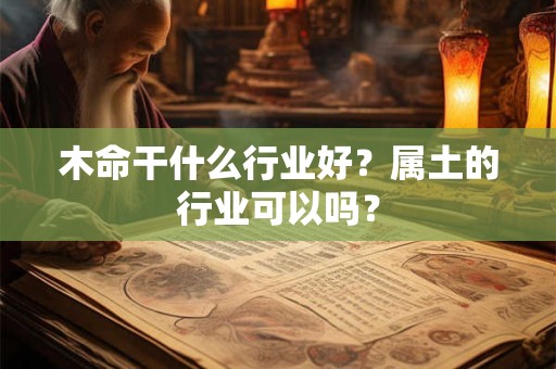 木命干什么行业好？属土的行业可以吗？