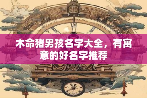 木命猪男孩名字大全，有寓意的好名字推荐