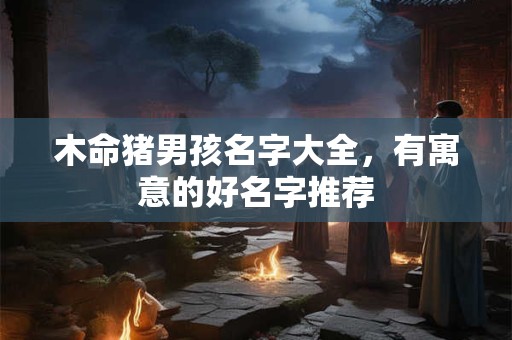 木命猪男孩名字大全，有寓意的好名字推荐