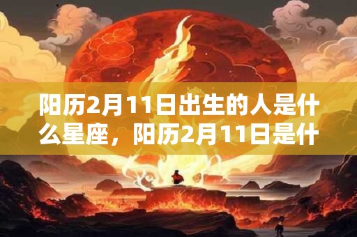 阳历2月11日出生的人是什么星座，阳历2月11日是什么星座