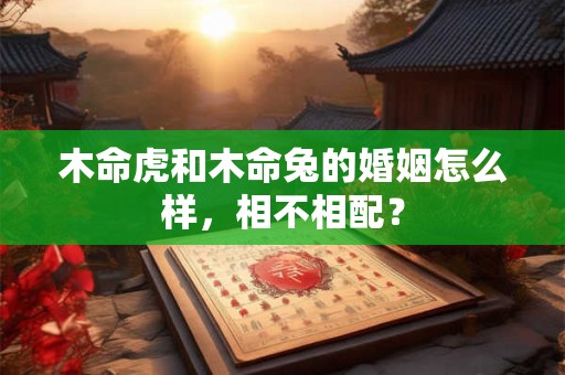 木命虎和木命兔的婚姻怎么样，相不相配？