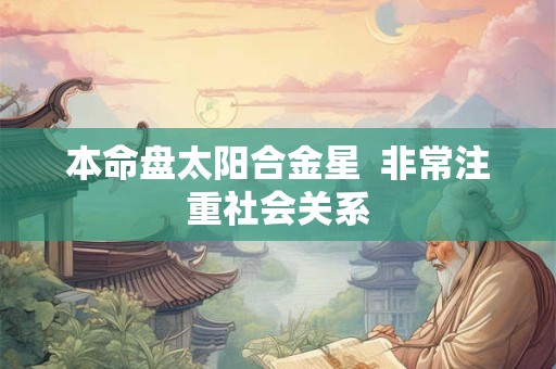 本命盘太阳合金星  非常注重社会关系
