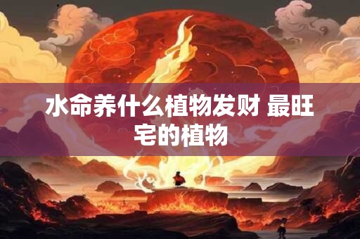 水命养什么植物发财 最旺宅的植物