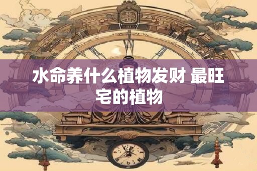 水命入户门朝北开适合吗？大门朝北如何化解？