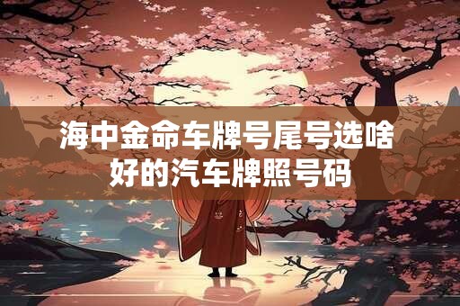 海中金命车牌号尾号选啥 好的汽车牌照号码