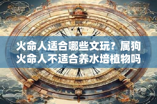 火命人适合哪些文玩？属狗火命人不适合养水培植物吗