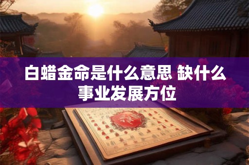 白蜡金命是哪年出生的 白腊金出生年份