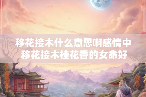 移花接木什么意思啊感情中 移花接木桂花香的女命好不好