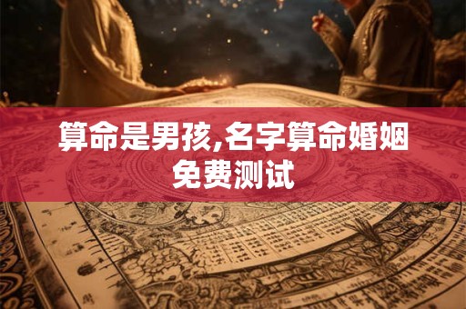 算命测试,个人命盘详解(免费版)