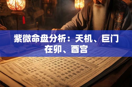 紫微命盘分析：天机、巨门在卯、酉宫