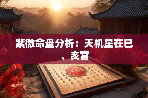 紫微命盘分析：天机星在子、午宫