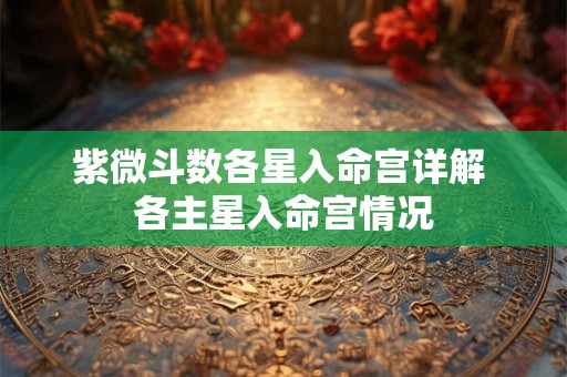 紫微斗数各星入命宫详解 各主星入命宫情况