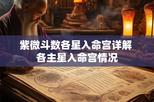 紫微斗数各星入命宫详解 各主星入命宫情况