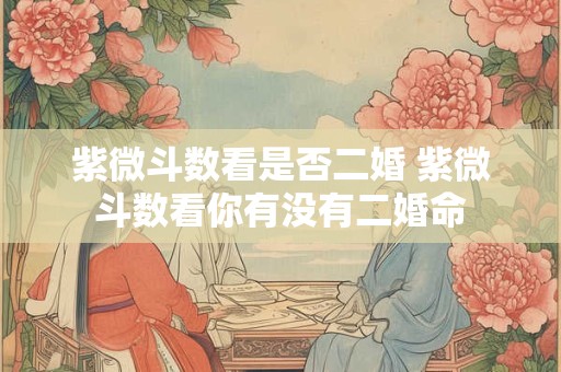 紫微斗数看是否二婚 紫微斗数看你有没有二婚命