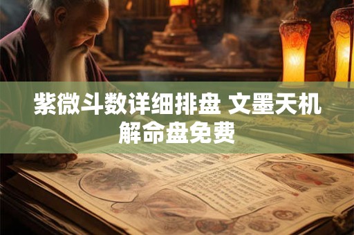 紫微斗数详细排盘 文墨天机解命盘免费