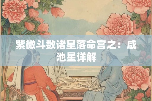 紫微斗数诸星落命宫之：华盖星详解